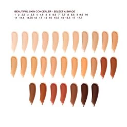 BEAUTIFUL SKIN BRIGHTEN & LIFT EFFECT KIT -Fashion Cosmetics Shop Beautiful Skin Concealer Config Swatch 1