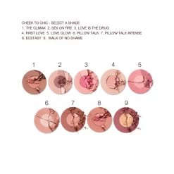 DEWY, PRETTY BLUSHED CHEEKS KIT -Fashion Cosmetics Shop C2C Shades