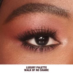 LUXURY PALETTE -Fashion Cosmetics Shop Luxury Palette WONS 1